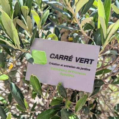 356072857_780000607150903_7240401253210878018_n