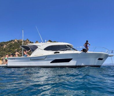 WhatsApp Image 2026-03-19 at 21.17.46